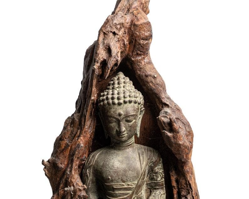 Bronze Meditating Buddha in the Wood Figurine - Large - MAIA HOMES