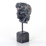 Bronzed Noir David Bust Statue