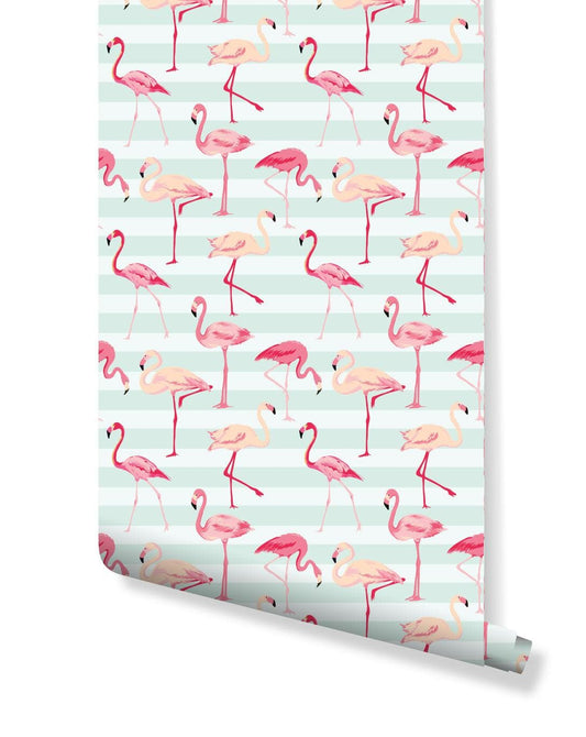Colorful Tropical Pink Flamingos Removable Wallpaper - MAIA HOMES
