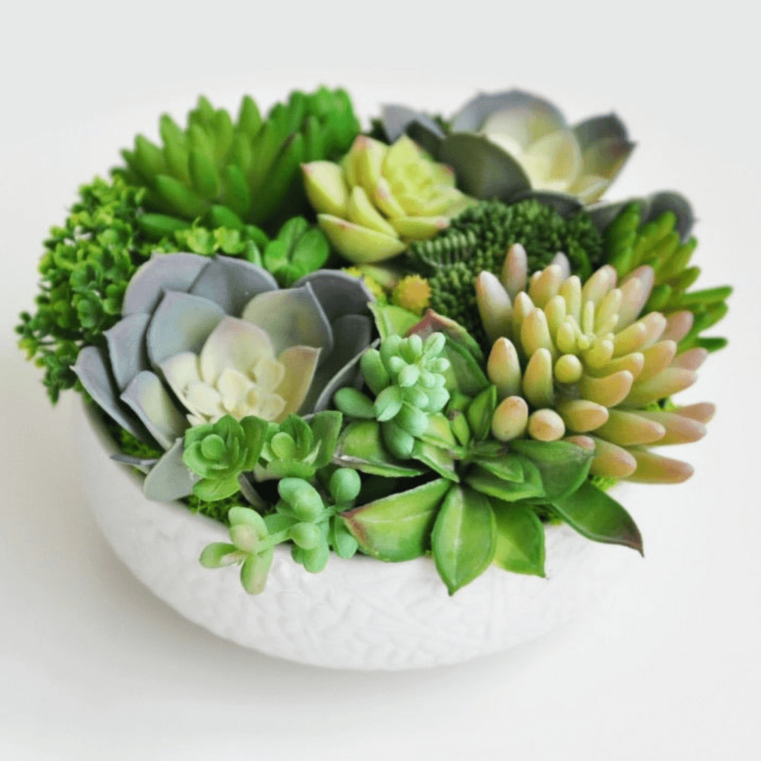 Dalat Artificial Succulents Arrangement in a White Bowl