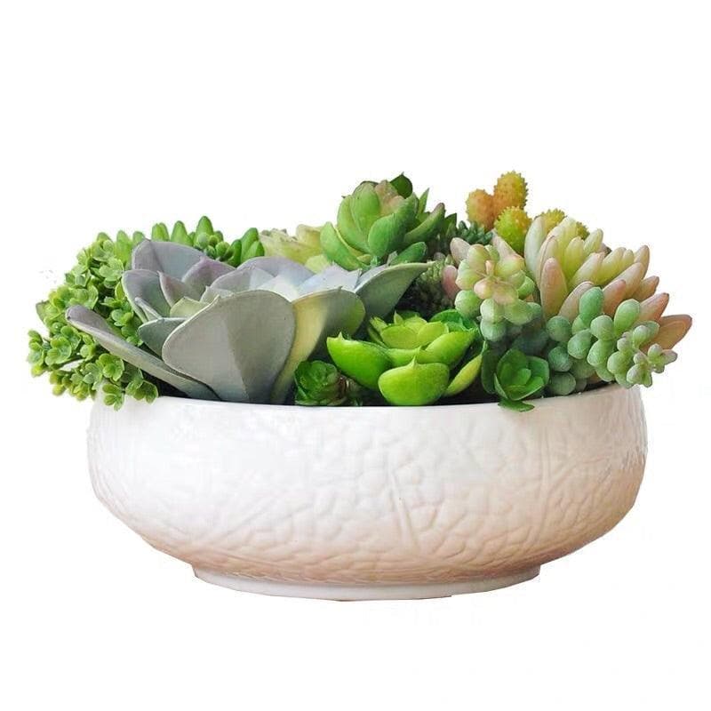 Dalat Artificial Succulents Arrangement in a White Bowl