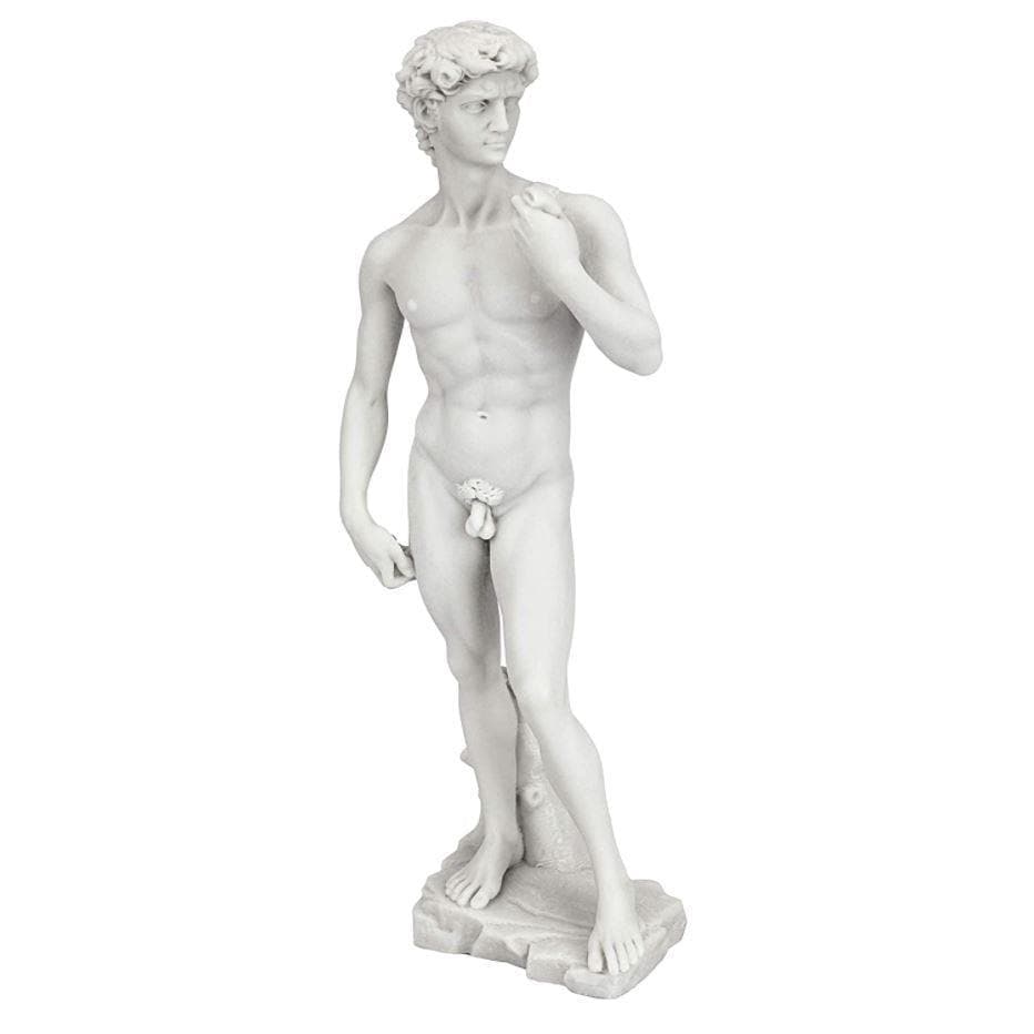 Design Toscano Michelangelo's David Statue - MAIA HOMES