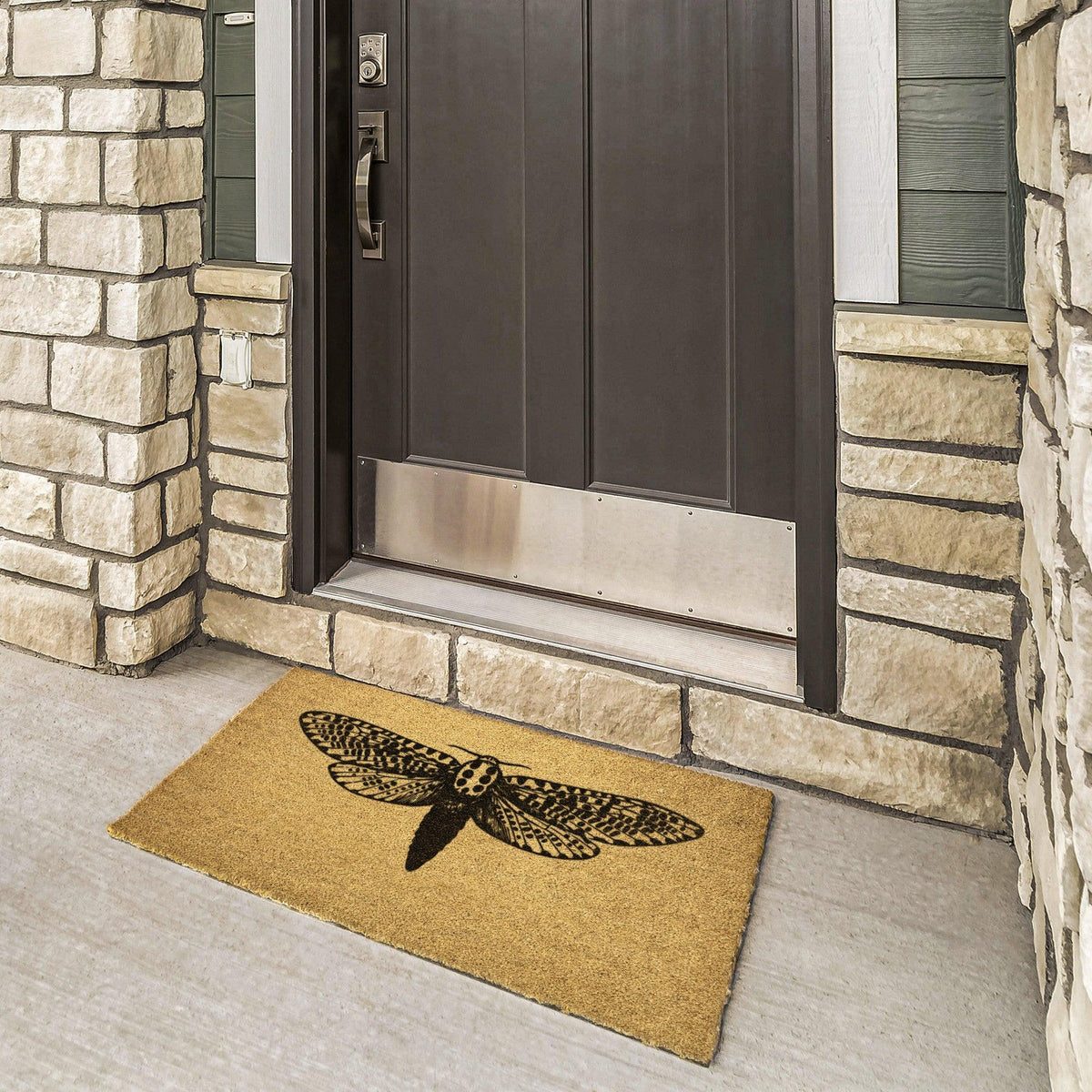 Dragonfly Door Mat 36x24