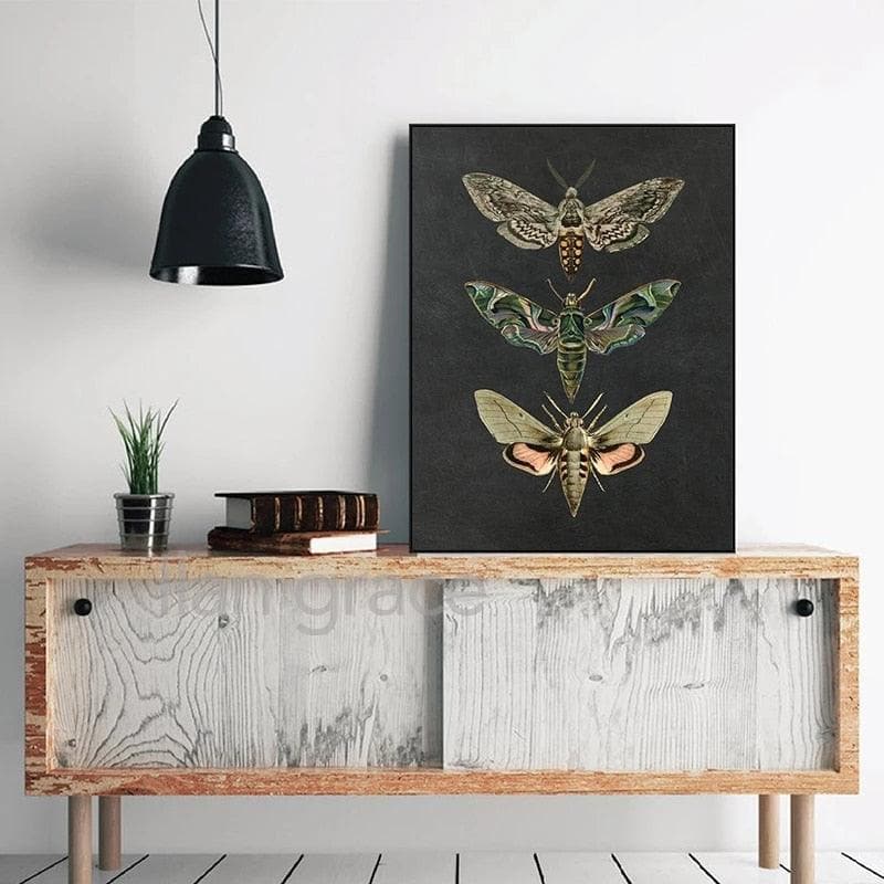 Dramatic Insect Collection Wall Art Poster Print - MAIA HOMES