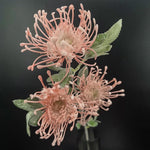 Exotic Flocked Leucospermum Artificial Flower Stem Pink