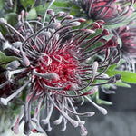 Exotic Flocked Leucospermum Artificial Flower Stem