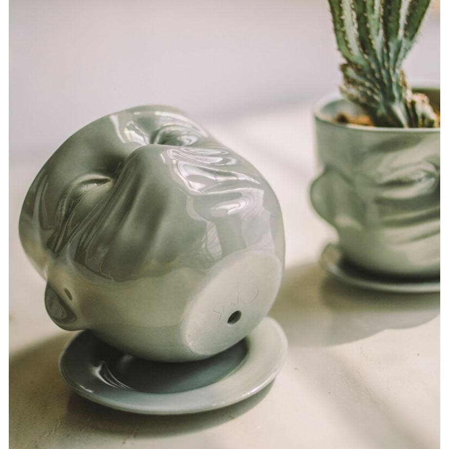 Face Mask Succulent Porcelain Planter - MAIA HOMES