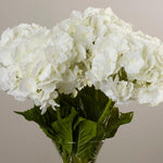 Faux Large Hydrangea Floral Arrangement in Glass Vase