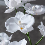 Faux White Orchid Floral Centerpiece in Marbled Pot