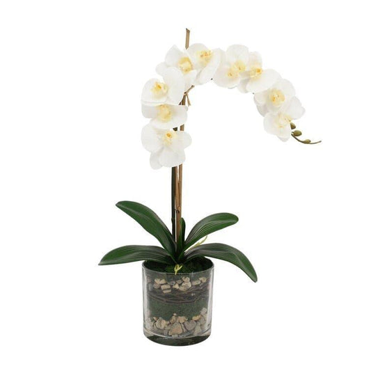Faux White Phalaenopsis Orchid Arrangement in Glass Vase - MAIA HOMES
