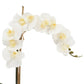 Faux White Phalaenopsis Orchid Arrangement in Glass Vase