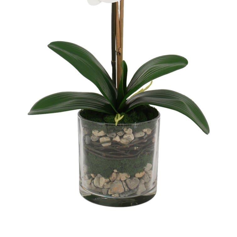 Faux White Phalaenopsis Orchid Arrangement in Glass Vase