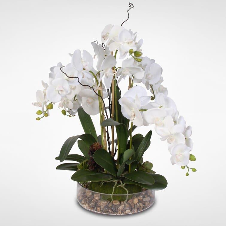 Faux White Phalaenopsis Orchid Floral Arrangement in Pot Default Title