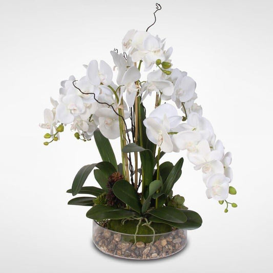 Faux White Phalaenopsis Orchid Floral Arrangement in Pot - MAIA HOMES