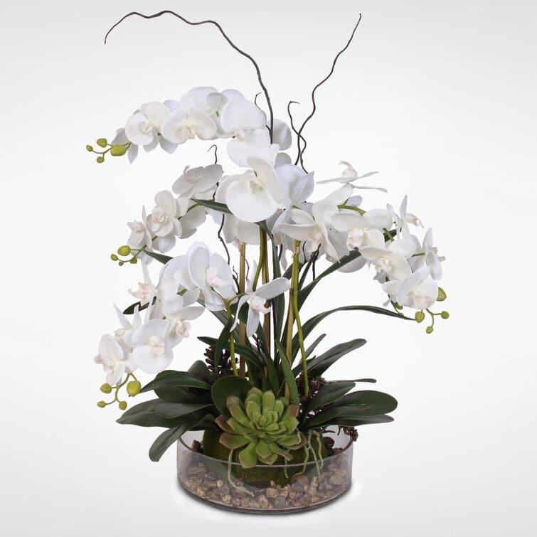 Faux White Phalaenopsis Orchid Floral Arrangement in Pot