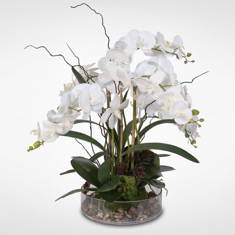 Faux White Phalaenopsis Orchid Floral Arrangement in Pot