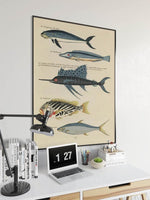 Fishes Poster Print| Sea Life Art