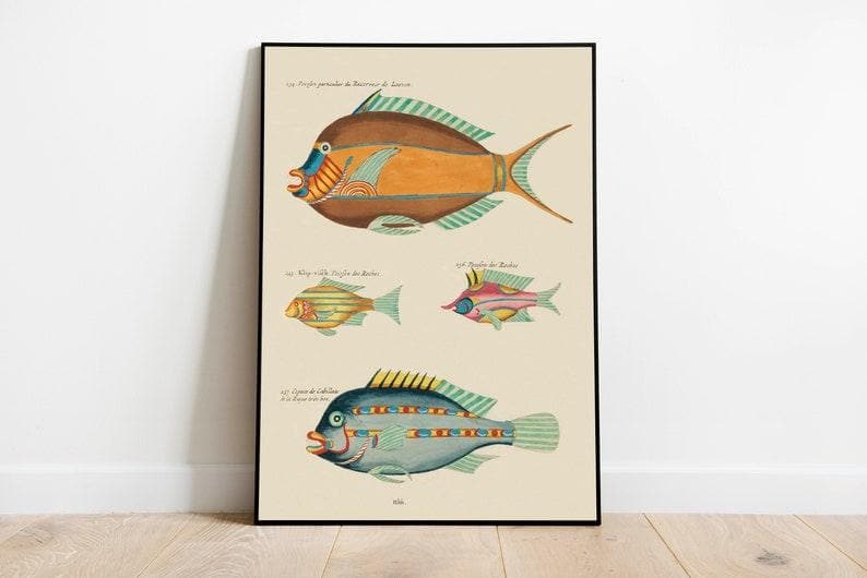 Fishes Poster Print| Sea Life Art