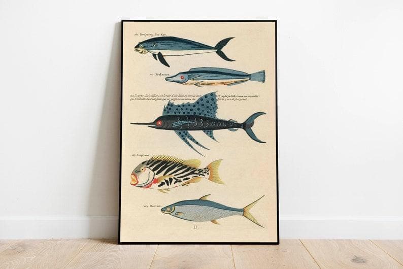 Fishes Poster Print| Sea Life Art