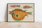 Fishes Poster Print| Sea Life Art