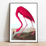 Flamingo Bird Wall Art Print