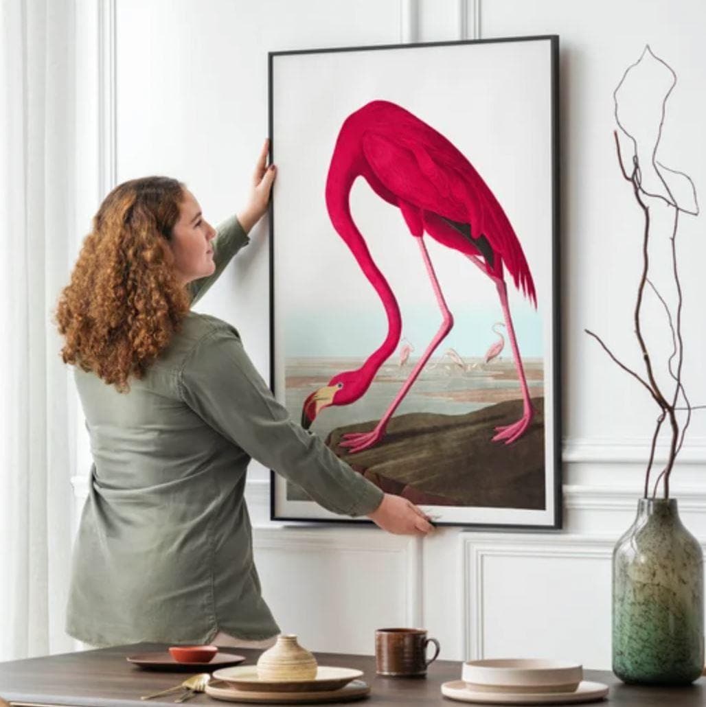 Flamingo Bird Wall Art Print