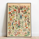 Flowers Art Diagram Wall Poster