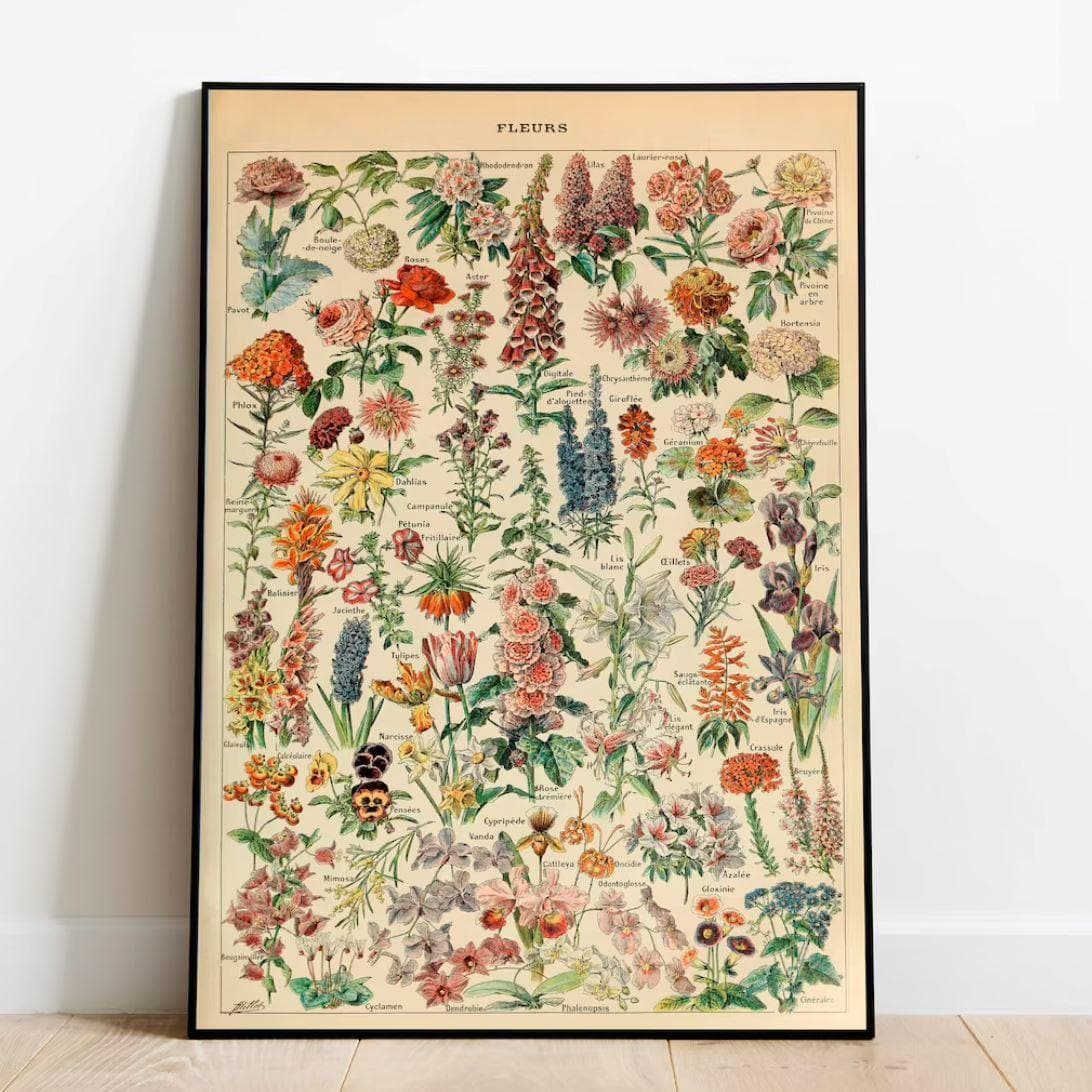 Flowers Art Diagram Wall Poster