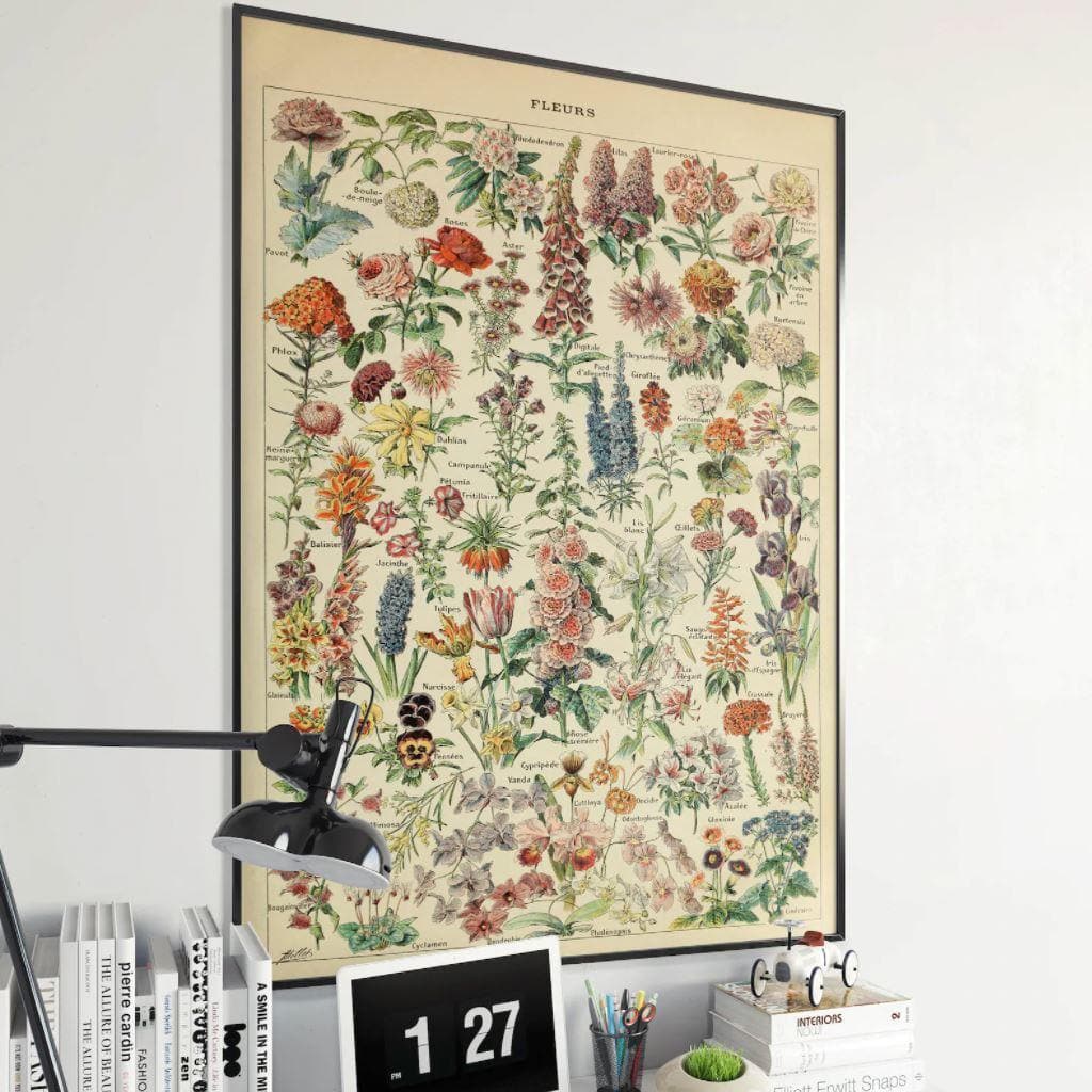 Flowers Art Diagram Wall Poster