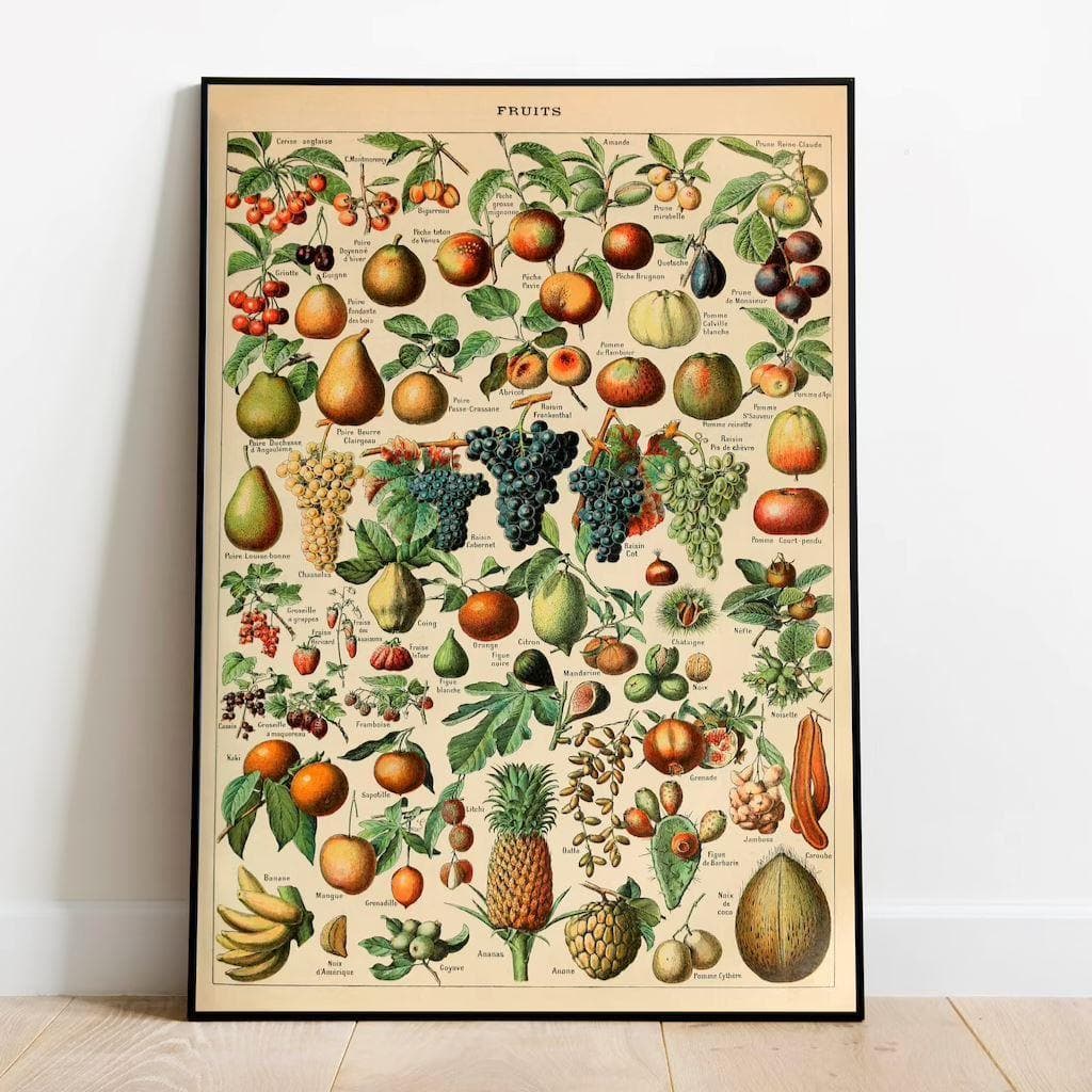 Fruits Art Diagram Wall Poster