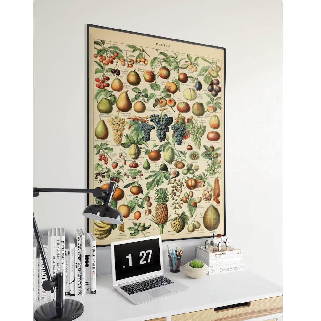 Fruits Art Diagram Wall Poster