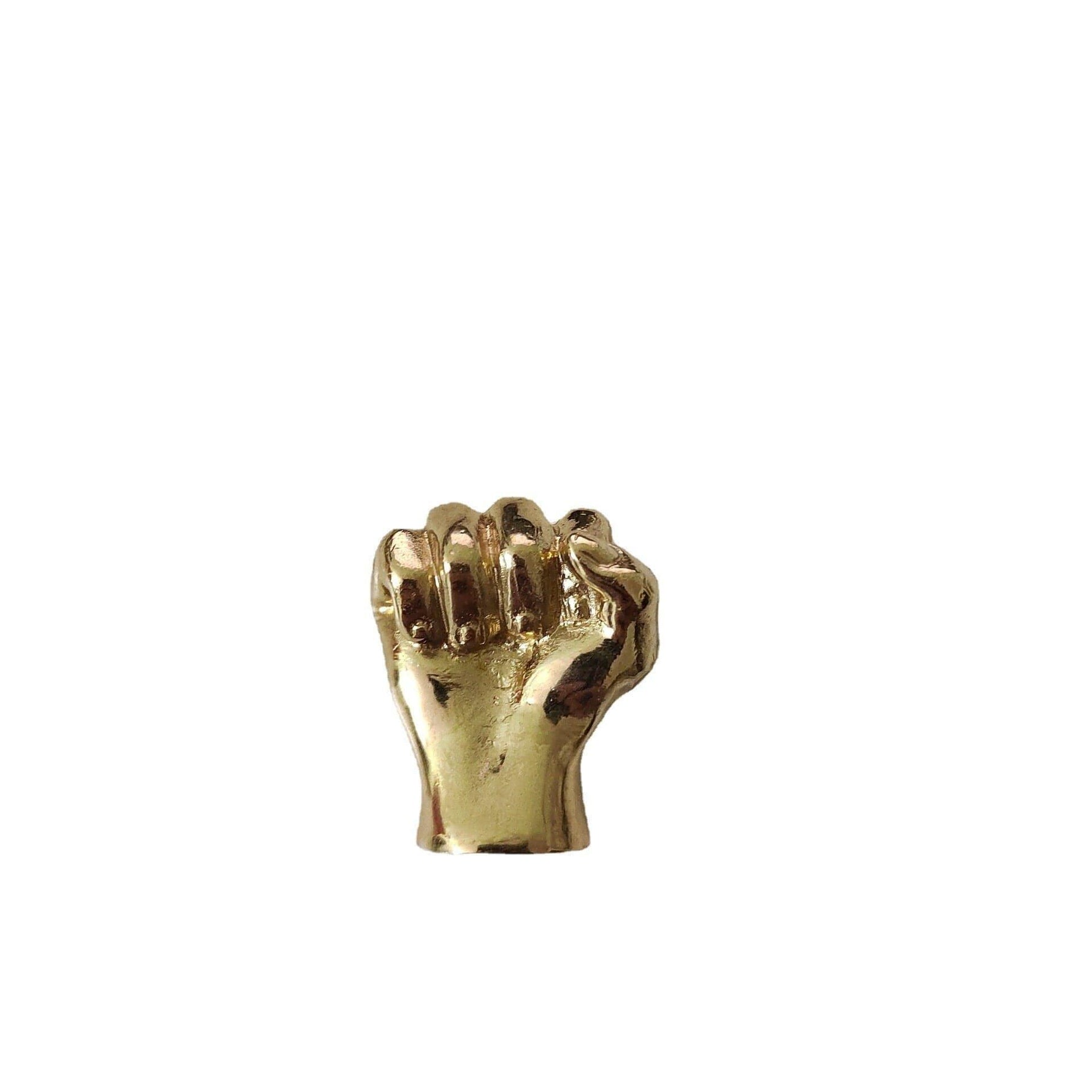 Golden Fist Cabinet Door Knobs - Set of 2