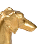 Golden Pet Dogs Flossie Bookends