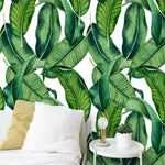 Green and White Banana Leaves Tropical Wallpaper