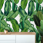 Green and White Banana Leaves Tropical Wallpaper