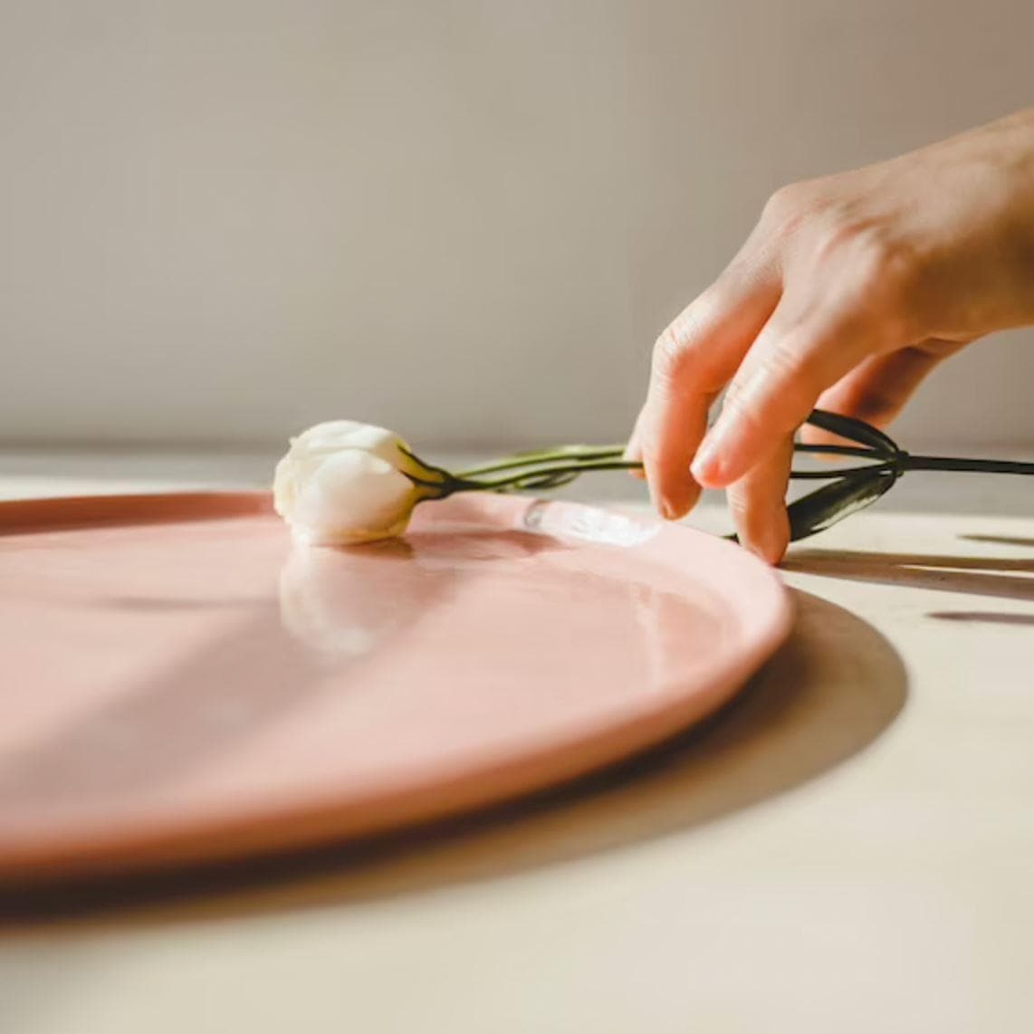 Handmade Porcelain Pink Blush Dinner Plate - MAIA HOMES