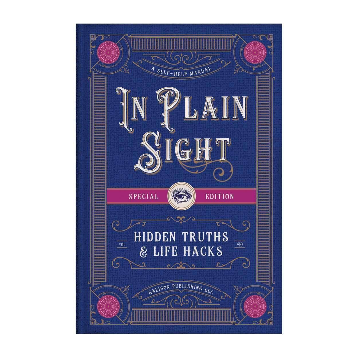 In Plain Sight Book Safe