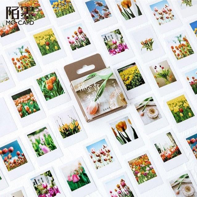 Japanese Scrapbooking Stickers Set - 45 pcs U