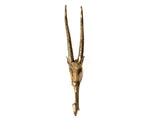 Large Solid Brass Antelope Wall Hook