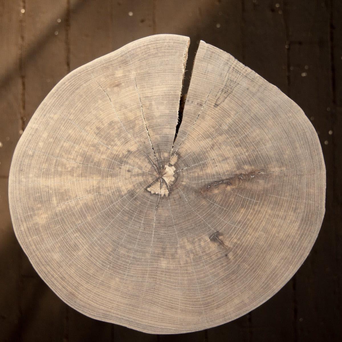 Live Edge Round Side Table | Fossil Table - MAIA HOMES