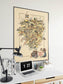 Map of Region of Limousin and Marche, France| France Wall Art - MAIA HOMES