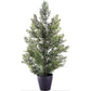 Mini Cedar Pine Silk Tree in Black Pot