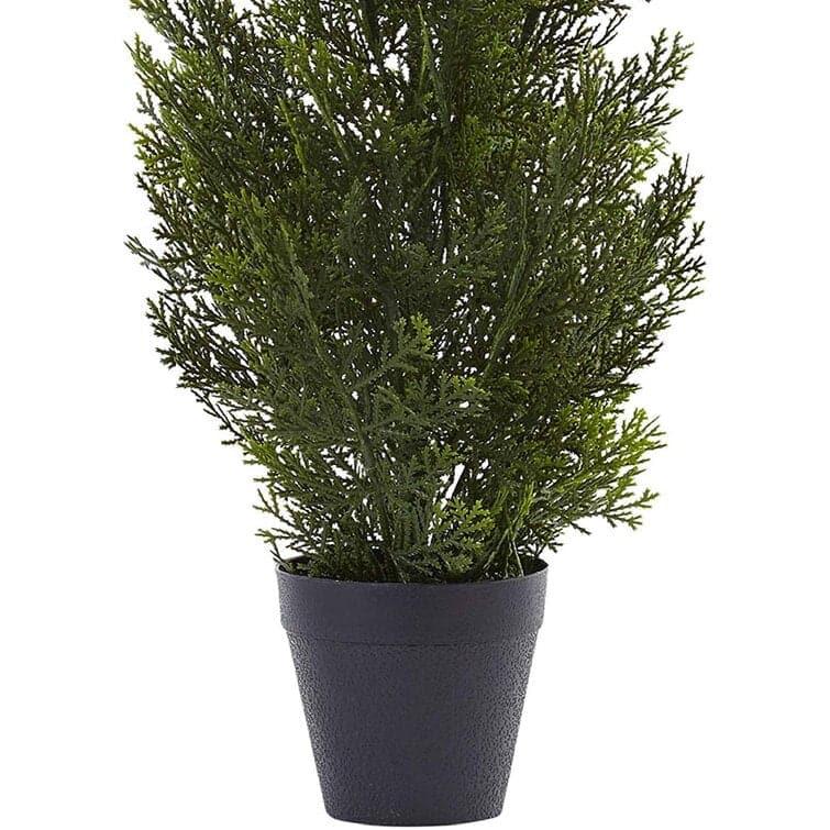 Mini Cedar Pine Silk Tree in Black Pot