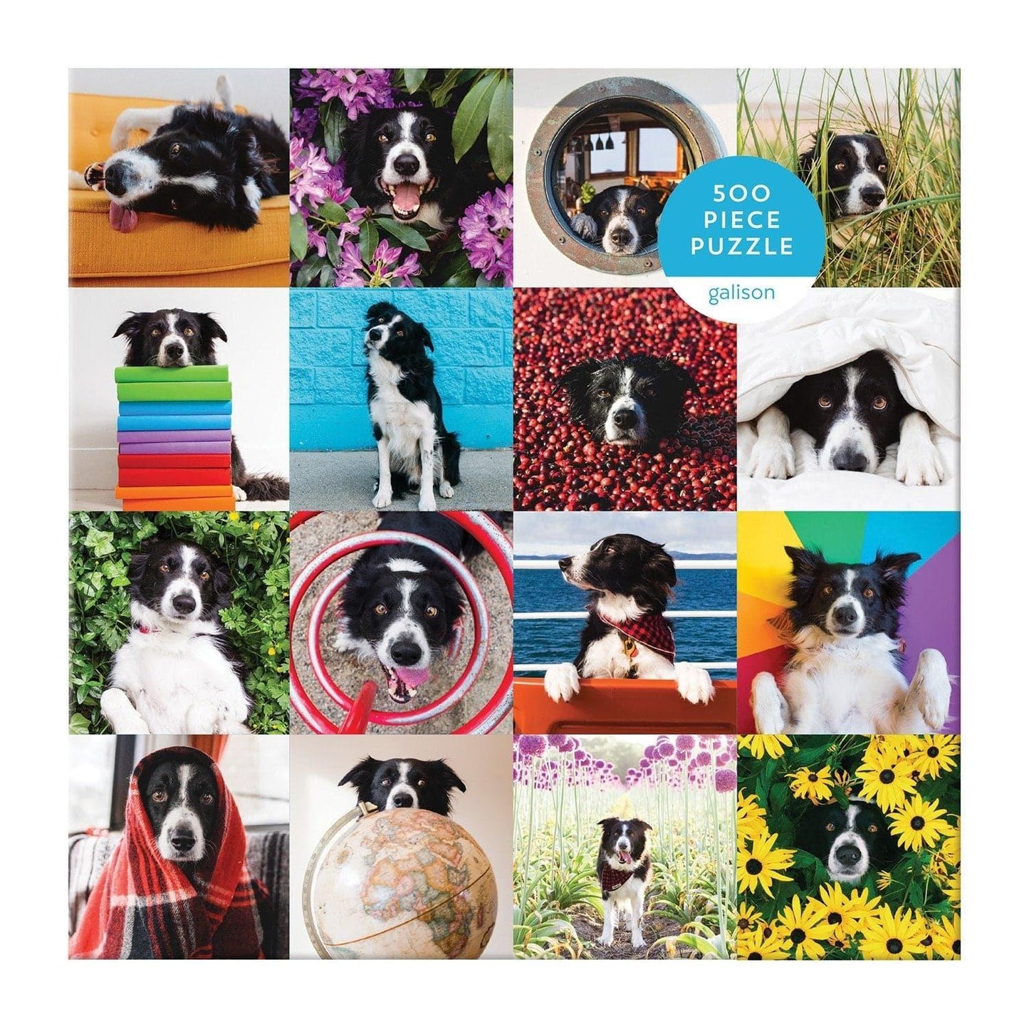 Momo The Dog 500 Piece Jigsaw Puzzle - MAIA HOMES