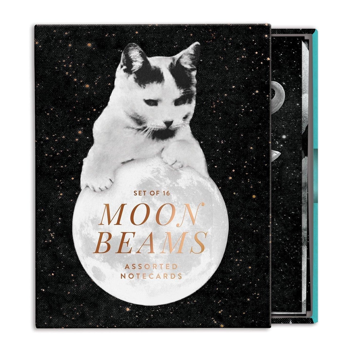 Moonbeams Greeting Card Assortment