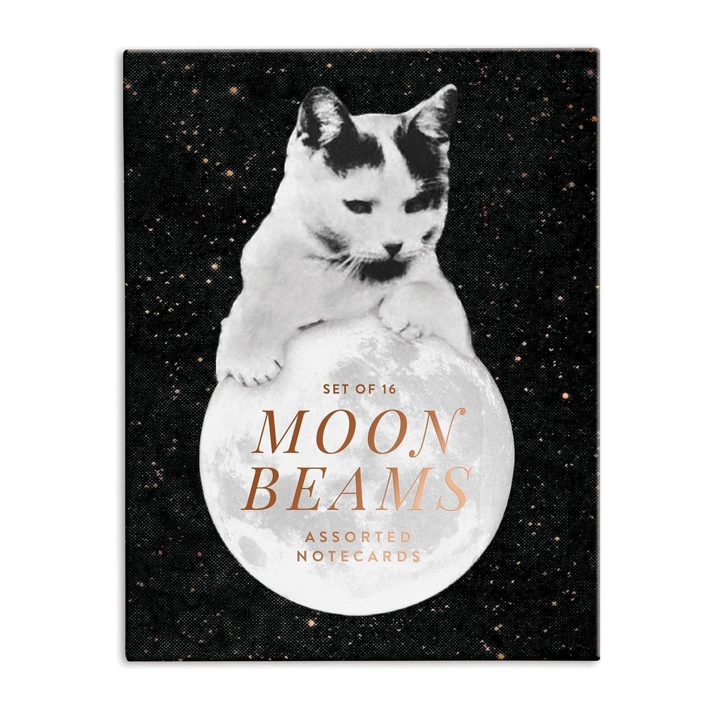 Moonbeams Greeting Card Assortment