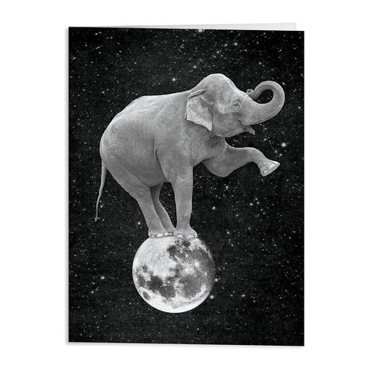 Moonbeams Greeting Card Assortment - MAIA HOMES