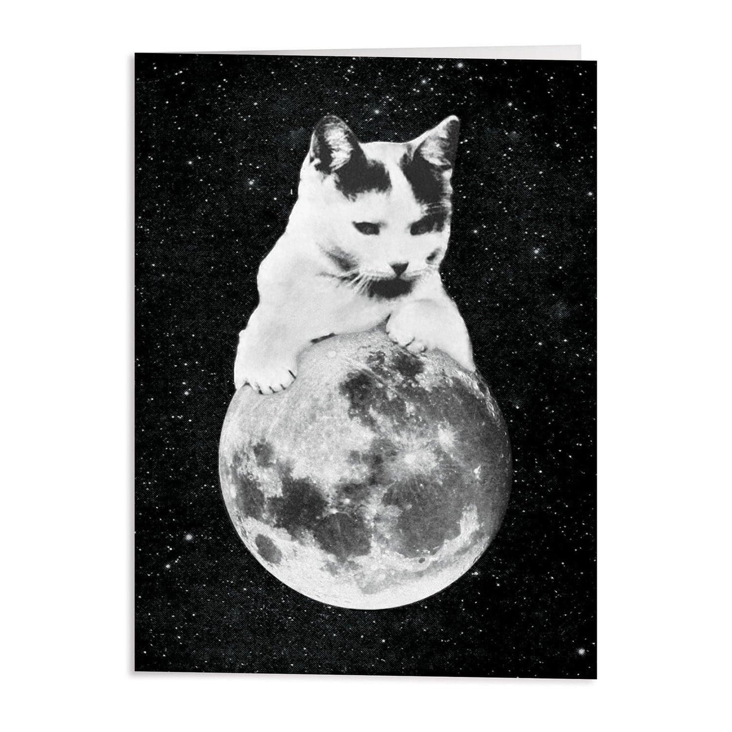 Moonbeams Greeting Card Assortment