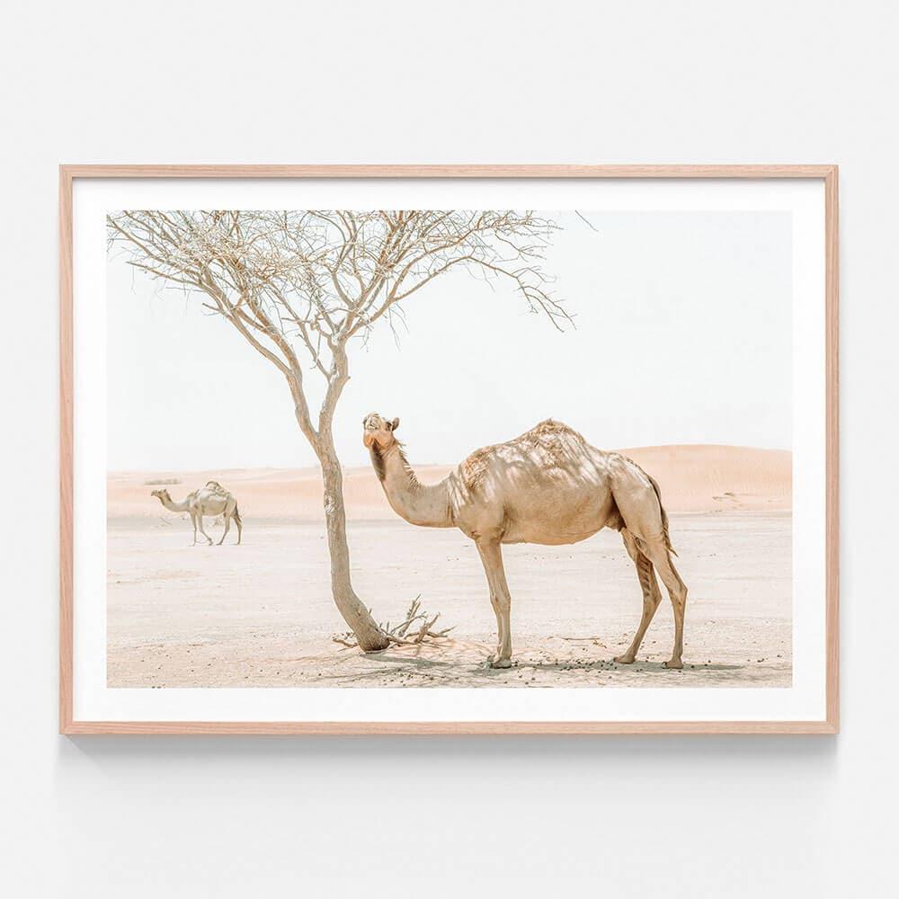 Moroccan Scenic Views Wall Poster Print Picture F