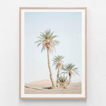 Moroccan Scenic Views Wall Poster Print Picture D